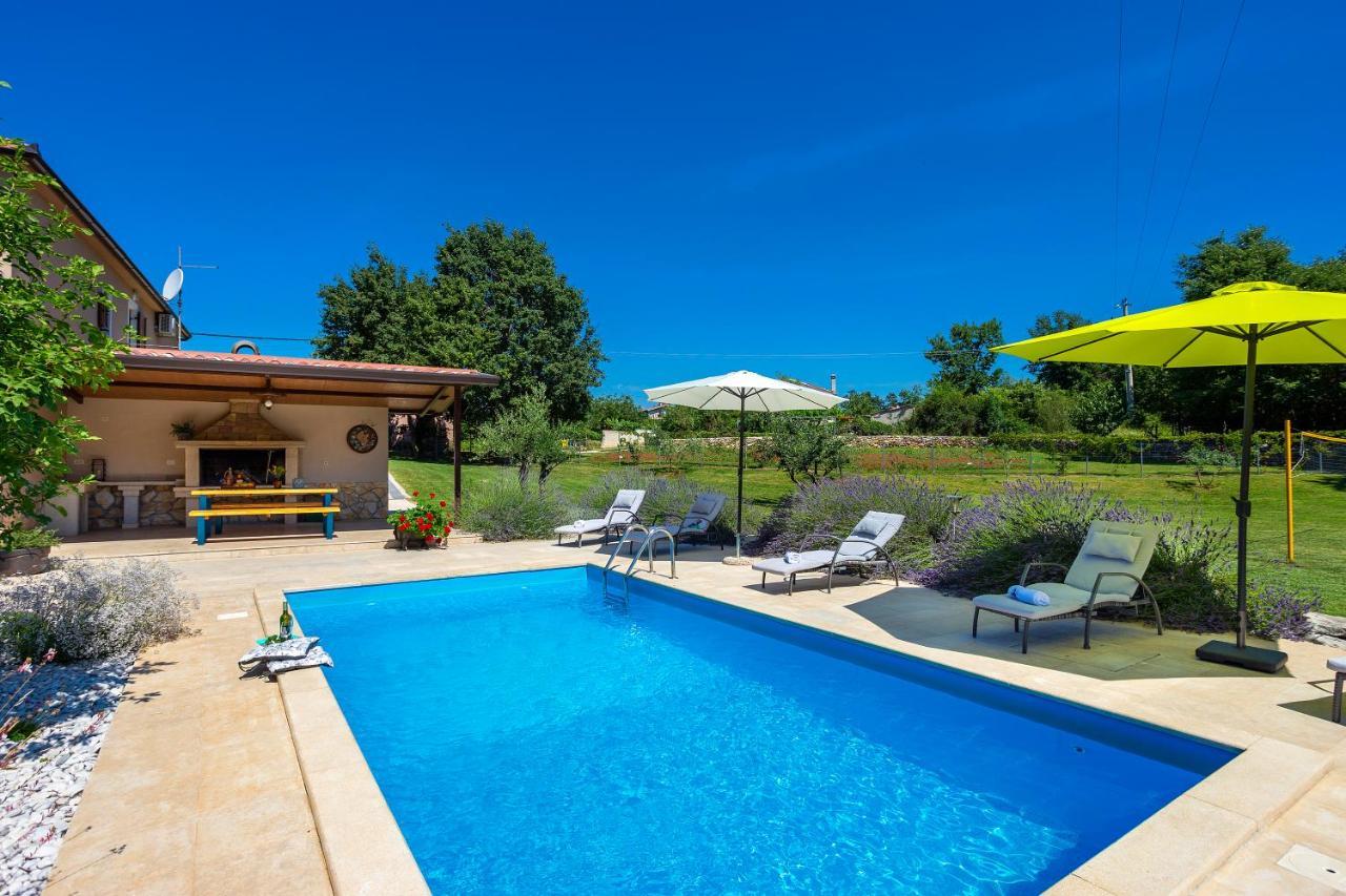 Villa Krizanci Zminj Exterior photo